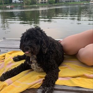 Meet your Posher, Grace